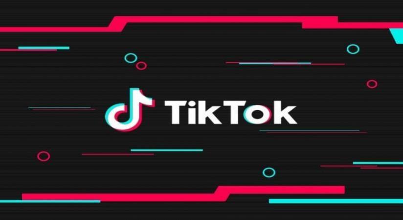 Probe into TikTok over potential violation of personal data law TikTok.