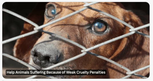 peta