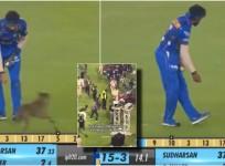 Crowd chants 'Hardik-Hardik after dog ignores him; Varun Dhawan, PETA condemn kicking of dog who invaded MI vs GT IPL game