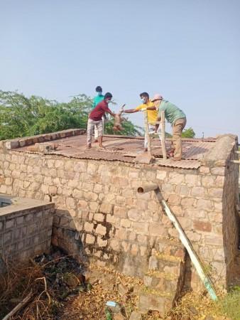 30 Monkeys Found Dead In Water Tank In Telangana 30 Monkeys Found Dead In Water Tank In Telangana