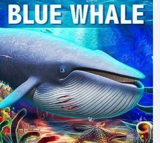 Blue whale game Blue whale game