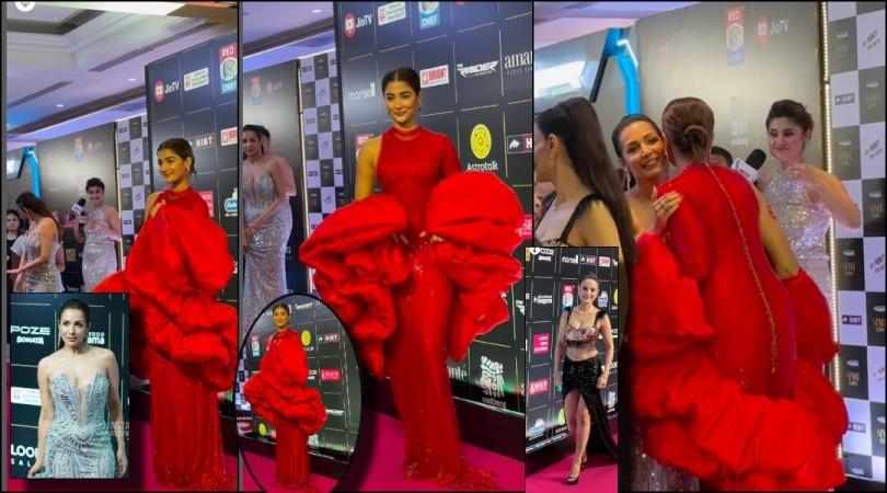 'Did they avoid Ameesha Patel?': Malaika Arora waits for Pooja Hedge to complete her pap session; latter hugs Malaika for her patience [reactions]