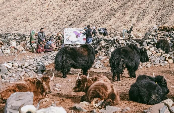 World's highest polling station
