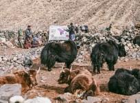 World's highest polling station