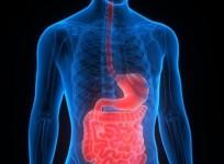 Scientists Identify Cause Of Inflammatory Bowel Disease