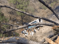 Akhnoor accident