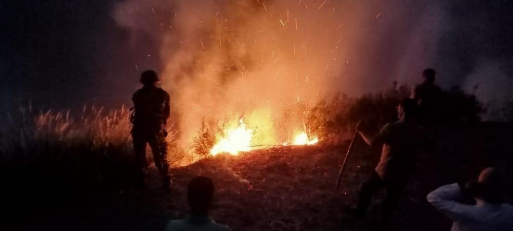 Forest fire