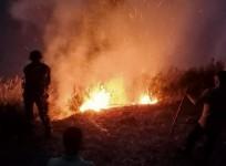 Forest fire