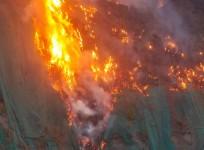 Forest fire