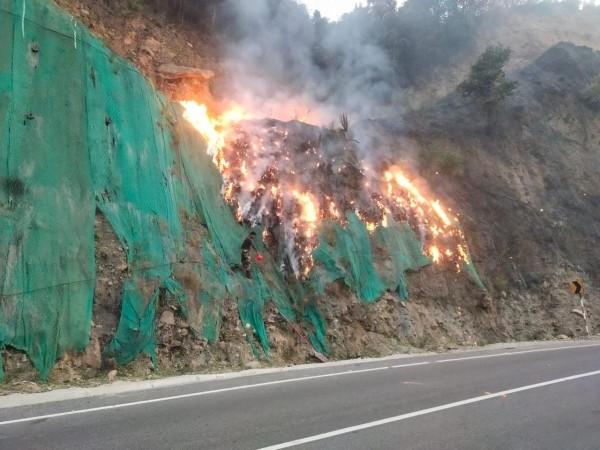 Forest fire