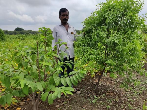 Biradar Falgun, a farmer from Wadmurambi, Deoni Taluka, in his field