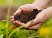 SOIL