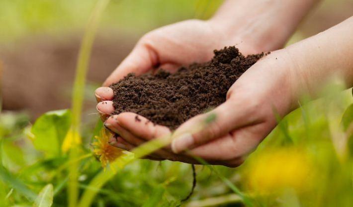 SOIL