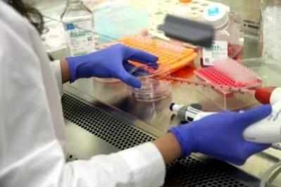 India tops list of recipient countries for remittances with $129 bn inflow in 2024 MEDICINE