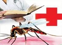 Monsoon brings surge in dengue cases
