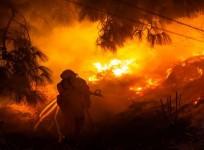 wildfires