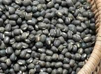 URAD DAL