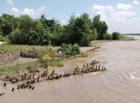633 villages in 12 UP districts affected by floods