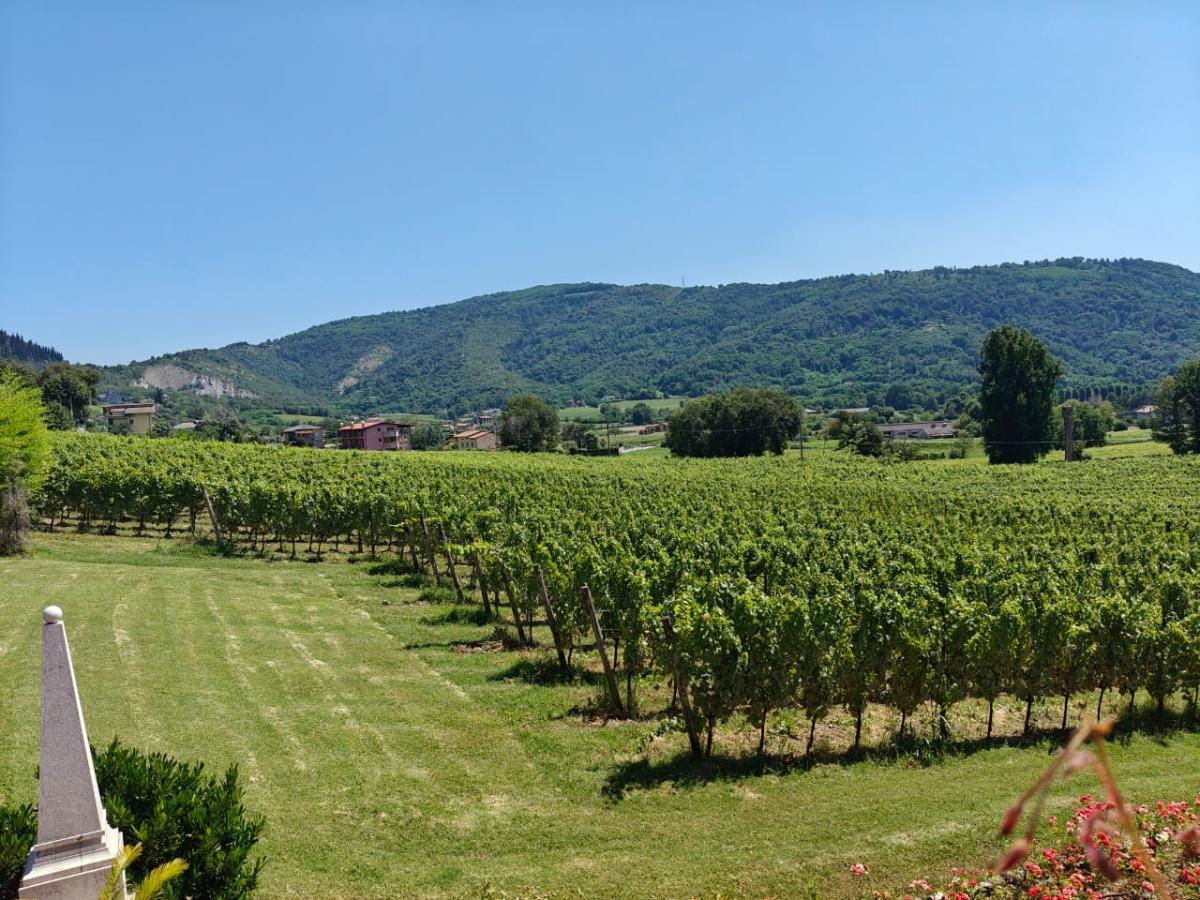 Shot on OnePlus Nord 4