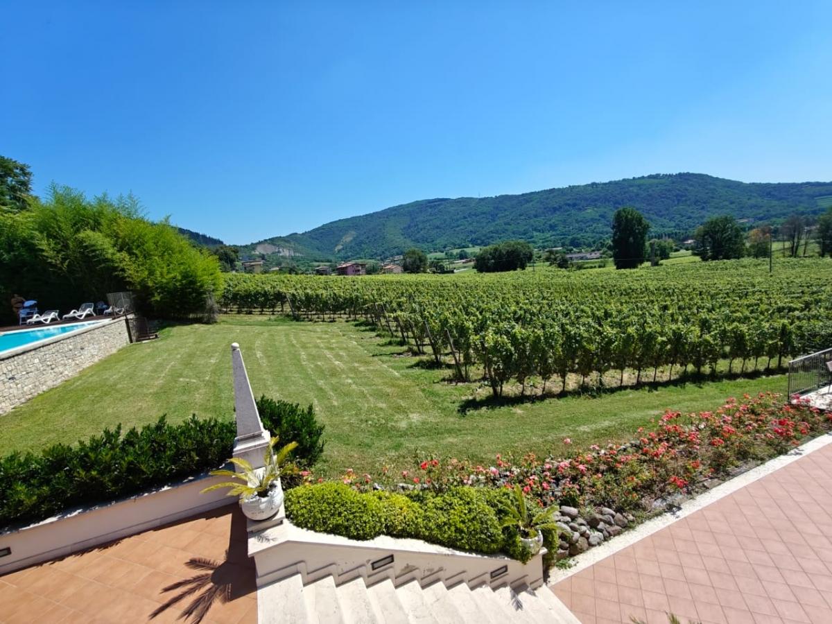 Shot on OnePlus Nord 4