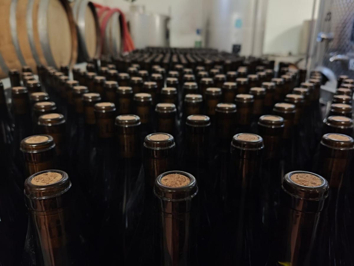 Shot on OnePlus Nord 4