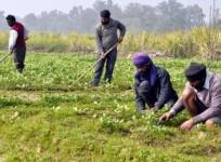 Farm sector gets boost as Agri Infra Fund mobilises Rs 73,194 crore: Eco Survey