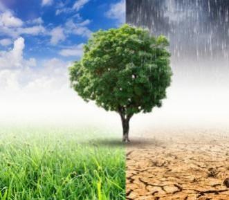 Global warming EARTH