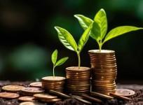 Mutual fund holdings beyond top 500 stocks spike to 2018 highs