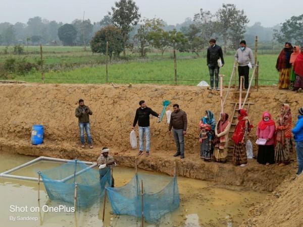 UP women farmers integrate agriculture with fish farming