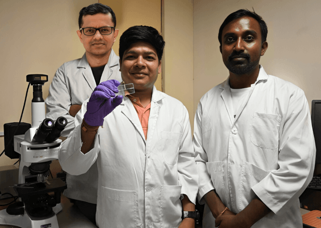 IIT Guwahati researchers develop a new method to boost crop yield