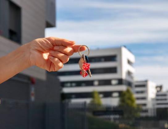India’s office real estate has consistently been witnessing more than 70 million square feet of GLV since 2022 across the top eight cities Delhi-NCR 5th most expensive office space rental market in Asia-Pacific
