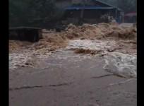 Palakkad rain