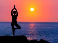 New guidelines urge doctors to add yoga to manage patients with high BP, diabetes