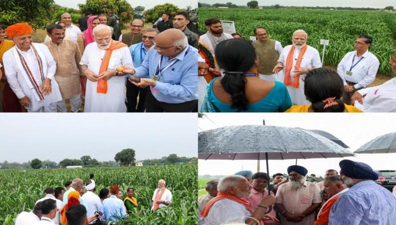 PM Modi releases 109 high-yielding, climate-resilient varieties of crops PM Modi releases 109 high-yielding, climate-resilient varieties of crops