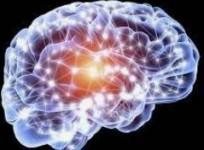 Study proposes new obesity treatment with brain electrical stimulation