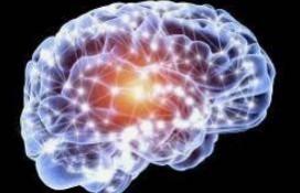 Study proposes new obesity treatment with brain electrical stimulation Study proposes new obesity treatment with brain electrical stimulation