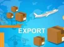 EXIM Bank sees India's goods export surging to $111.7 billion in Q2