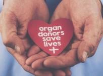 India faces a severe organ wastage crisis, say experts