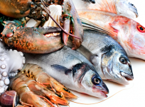 seafood