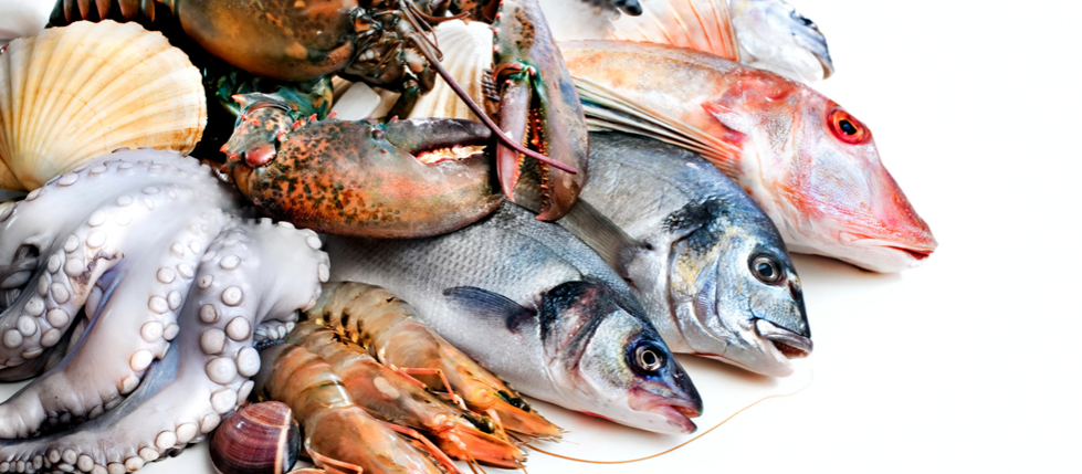 seafood