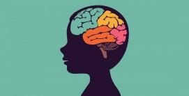 New research uncovers brain pathway linked to autism, cerebral palsy