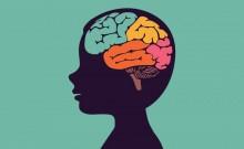 New research uncovers brain pathway linked to autism, cerebral palsy