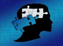 Study discovers gene that can prevent autism