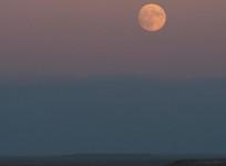 1st Supermoon of 2024 to grace Indian skies on Monday evening