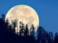 Supermoons and blue moon to light up August skies