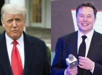 Musk willing to serve Trump if he wins, to lead 'department of government efficiency'