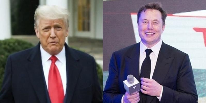 Musk willing to serve Trump if he wins, to lead 'department of government efficiency'