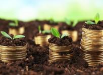 India a bright spot, to remain fastest-growing major economy this year