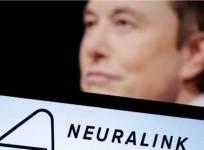 Second Neuralink chip recipient progressing well: Elon Musk