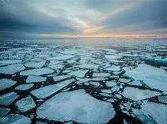 Artic Sea